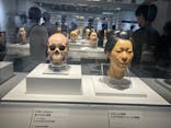 特別展「古代DNA－日本人のきた道」（国立科学博物館）に投稿された画像（2025/6/8）