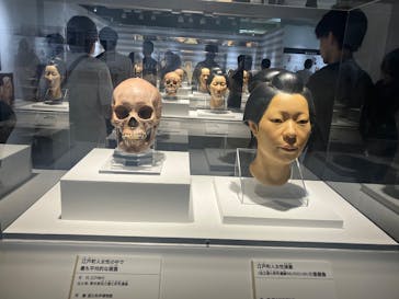 特別展「古代DNA－日本人のきた道」（国立科学博物館）に投稿された画像（2025/6/8）