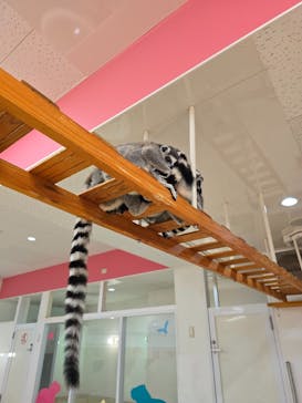 アニタッチ MARK IS 静岡に投稿された画像（2025/6/8）