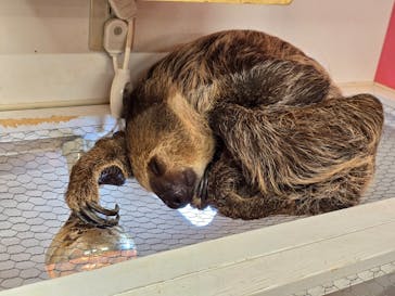 アニタッチ MARK IS 静岡に投稿された画像（2025/6/8）