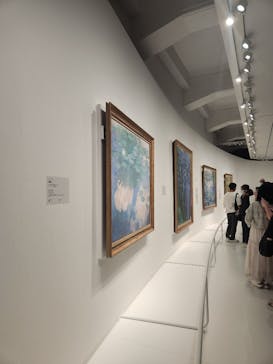 モネ　睡蓮のときに投稿された画像（2025/6/8）