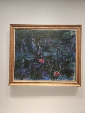 モネ　睡蓮のときに投稿された画像（2025/6/8）