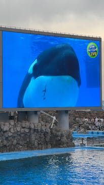 名古屋港水族館に投稿された画像（2025/6/8）