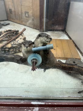 横浜・八景島シーパラダイスに投稿された画像（2025/6/8）