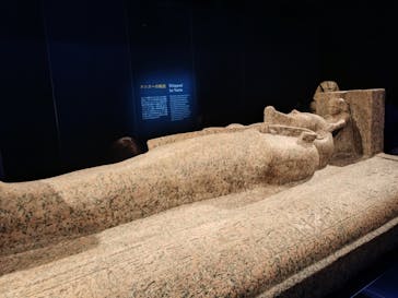 ACN ラムセス大王展 ファラオたちの黄金に投稿された画像（2025/6/8）