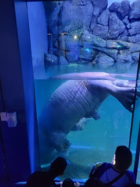 横浜・八景島シーパラダイスに投稿された画像（2025/6/8）