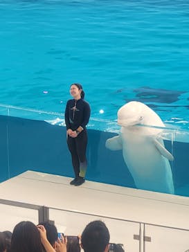 横浜・八景島シーパラダイスに投稿された画像（2025/6/8）