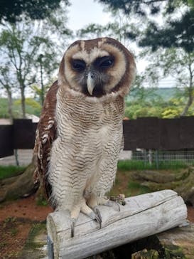 池の平ファミリーランドに投稿された画像（2025/6/8）