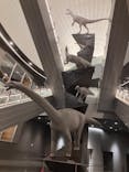 福井県立恐竜博物館に投稿された画像（2025/6/8）
