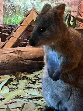 こども動物自然公園（埼玉県公園緑地協会）に投稿された画像（2025/6/8）