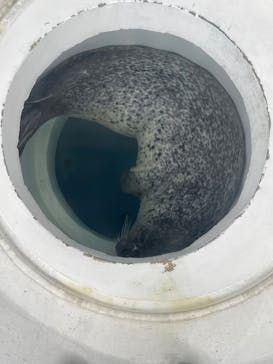 しながわ水族館に投稿された画像（2025/6/8）