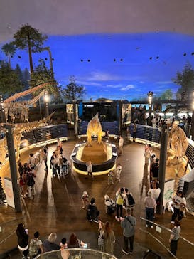 福井県立恐竜博物館に投稿された画像（2025/6/8）