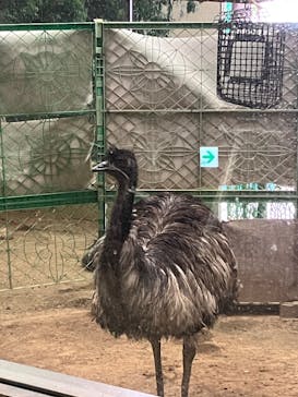 天王寺動物園に投稿された画像（2025/6/8）