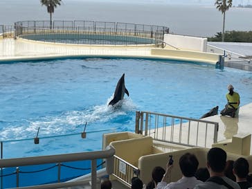マリンワールド海の中道に投稿された画像（2025/6/8）