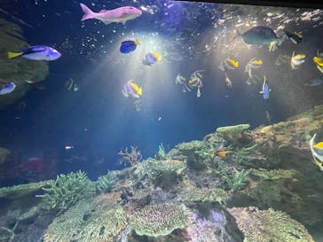 マリンワールド海の中道に投稿された画像（2025/6/8）