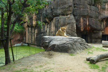 天王寺動物園に投稿された画像（2025/6/8）