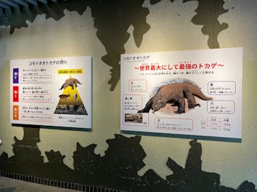 名古屋市東山動植物園に投稿された画像（2025/6/8）