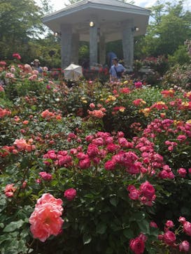 日帰り温泉湯の里おかだに投稿された画像（2025/6/8）