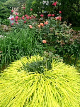 日帰り温泉湯の里おかだに投稿された画像（2025/6/8）