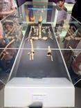 特別展「古代DNA－日本人のきた道」（国立科学博物館）に投稿された画像（2025/6/9）