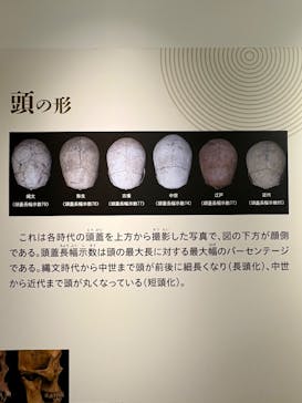 特別展「古代DNA－日本人のきた道」（国立科学博物館）に投稿された画像（2025/6/8）