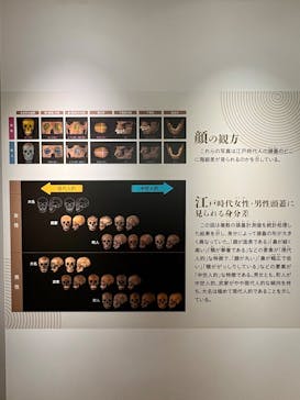 特別展「古代DNA－日本人のきた道」（国立科学博物館）に投稿された画像（2025/6/8）