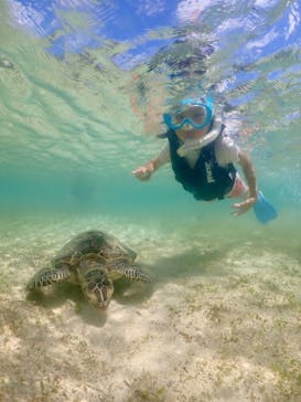 元気玉に投稿された画像（2025/6/8）