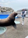 大分マリーンパレス水族館 「うみたまご」に投稿された画像（2025/6/9）