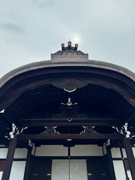 元離宮二条城に投稿された画像（2025/6/8）