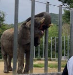 しろとり動物園に投稿された画像（2025/6/9）