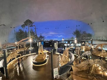 福井県立恐竜博物館に投稿された画像（2025/6/8）