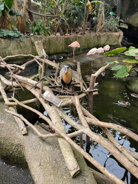 那須どうぶつ王国に投稿された画像（2025/6/8）