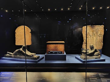 ACN ラムセス大王展 ファラオたちの黄金に投稿された画像（2025/6/9）