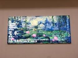 モネ　睡蓮のときに投稿された画像（2025/6/9）