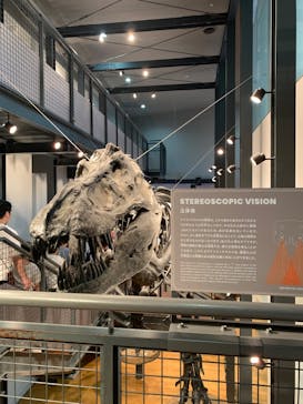 福井県立恐竜博物館に投稿された画像（2025/6/9）