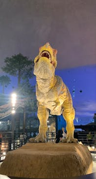 福井県立恐竜博物館に投稿された画像（2025/6/9）