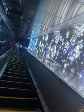 江の島1dayに投稿された画像（2025/6/9）