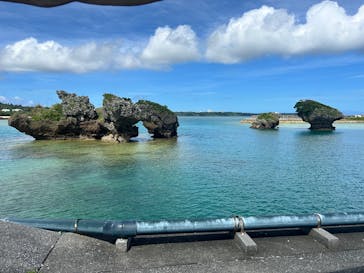 DIVING-SHOP SUNSに投稿された画像（2025/6/9）