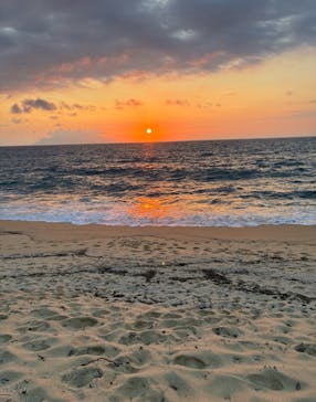 屋久島冒険旅に投稿された画像（2025/6/9）