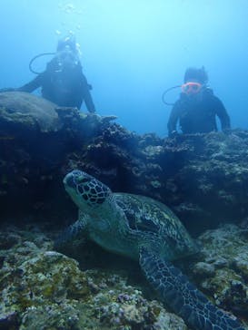 初心者専門店NEOMARINE石垣島に投稿された画像（2025/6/9）