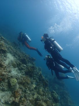 初心者専門店NEOMARINE石垣島に投稿された画像（2025/6/9）