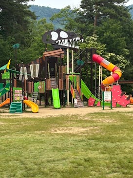 福井県立恐竜博物館に投稿された画像（2025/6/9）