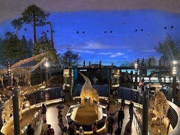 福井県立恐竜博物館に投稿された画像（2025/6/9）