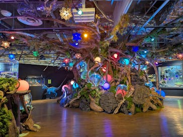 NARA IKIMONO MUSEUMに投稿された画像（2025/6/9）