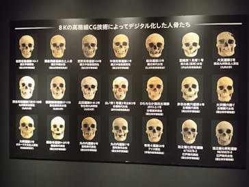 特別展「古代DNA－日本人のきた道」（国立科学博物館）に投稿された画像（2025/6/9）