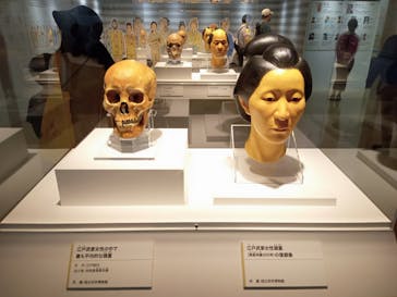 特別展「古代DNA－日本人のきた道」（国立科学博物館）に投稿された画像（2025/6/9）