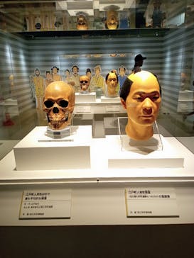 特別展「古代DNA－日本人のきた道」（国立科学博物館）に投稿された画像（2025/6/9）