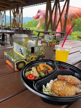 福井県立恐竜博物館に投稿された画像（2025/6/9）