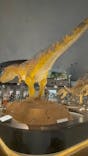 福井県立恐竜博物館に投稿された画像（2025/6/9）