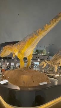 福井県立恐竜博物館に投稿された画像（2025/6/9）